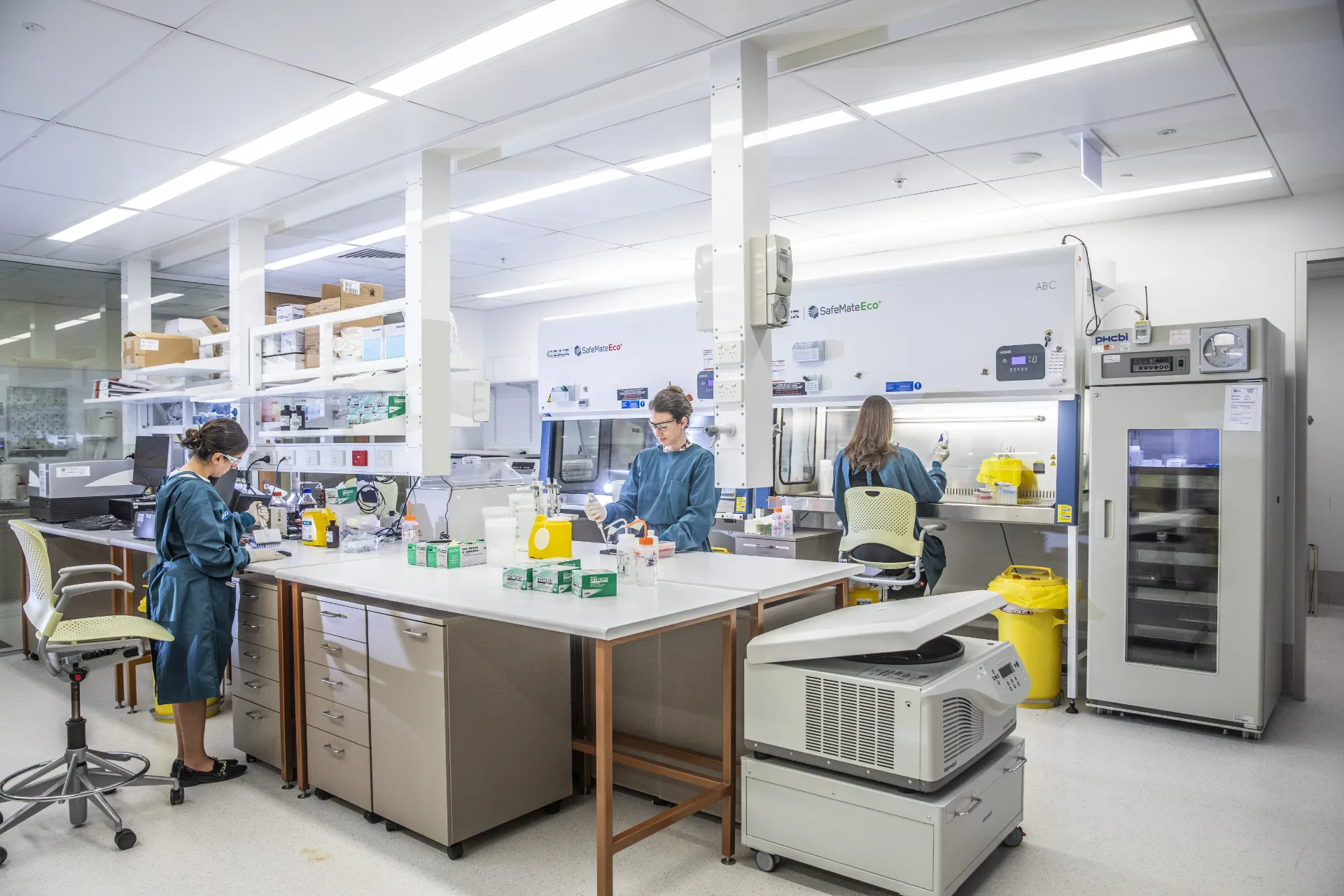 Team of scientists working in a bioanalytical laboratory