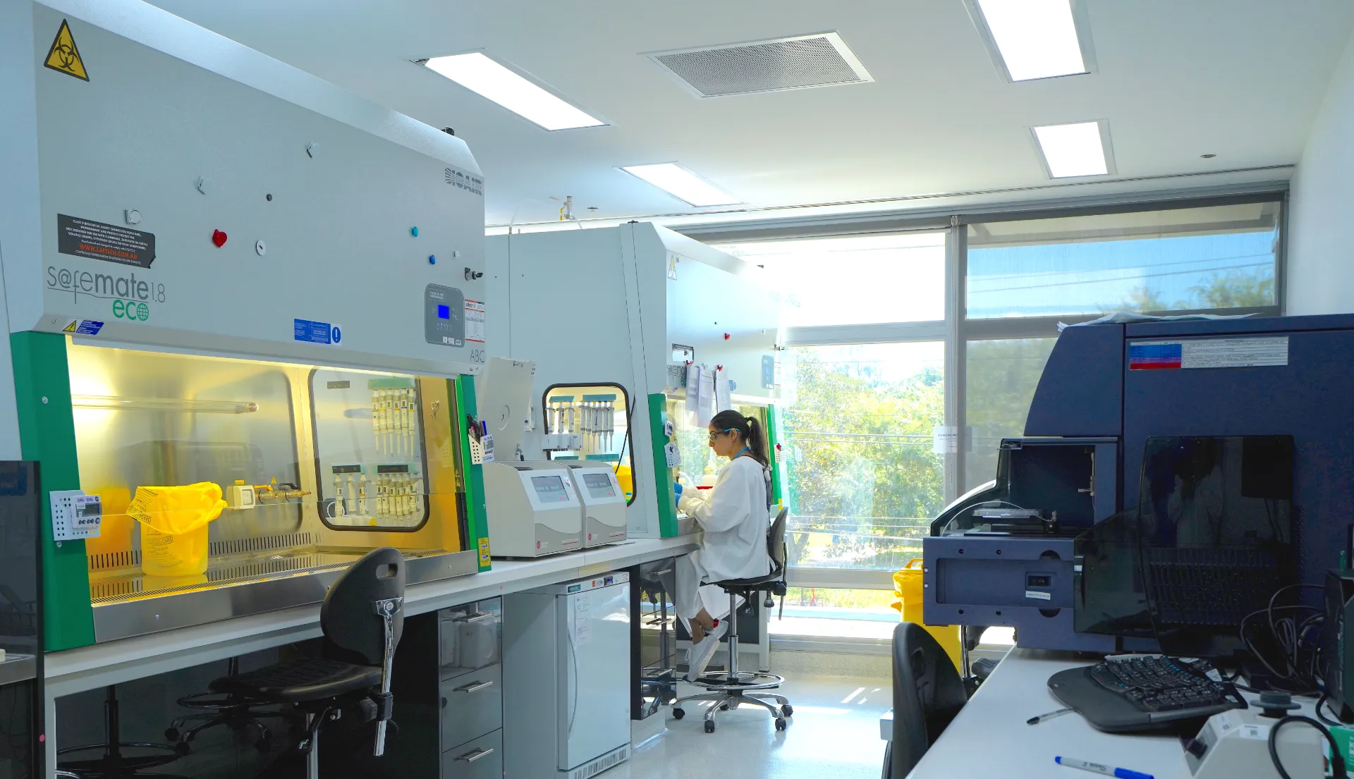 Scientist working at a lab bench conducting anti-drug antobody testing for an immunogenicity study