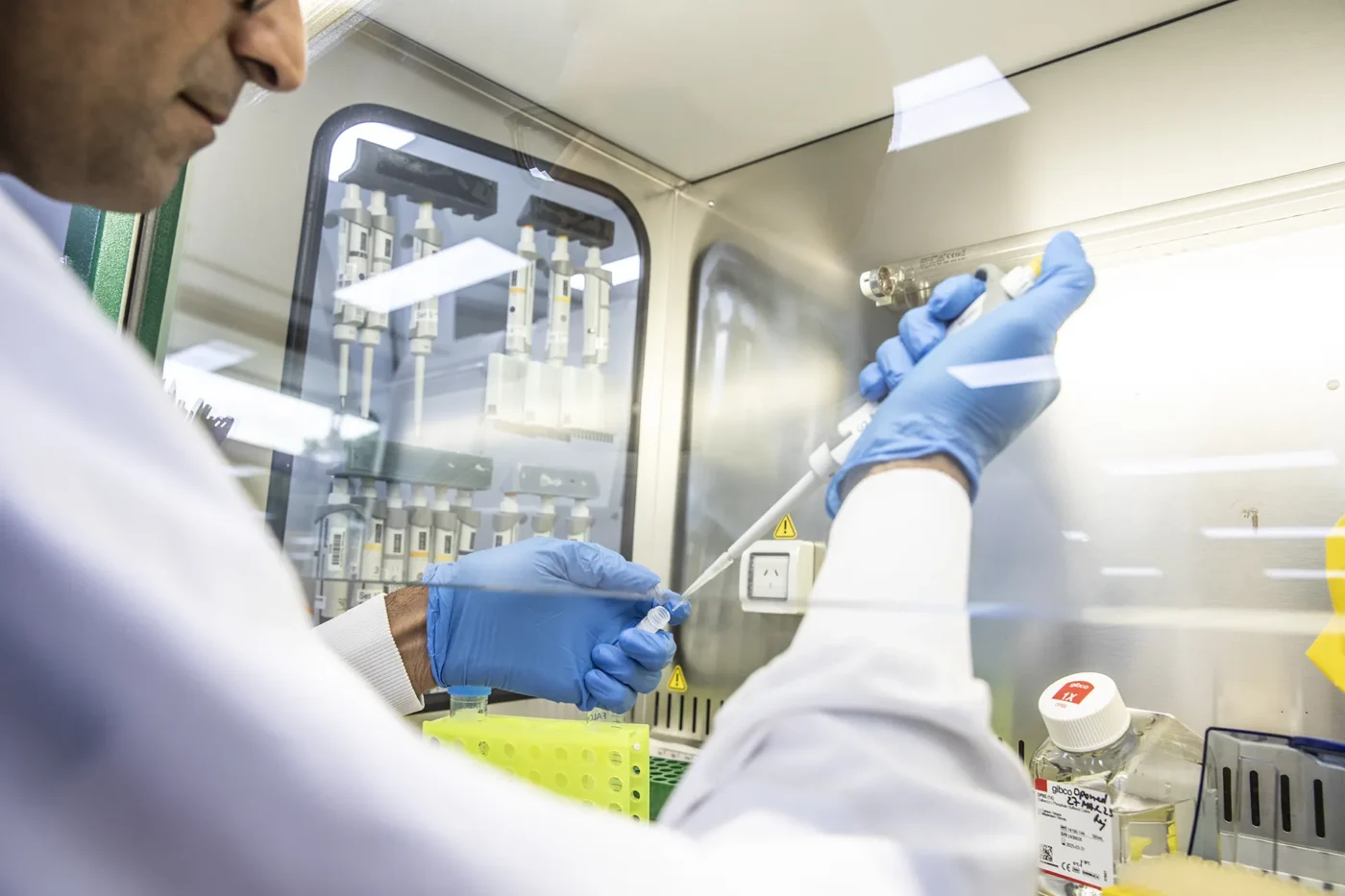 Scientist accurately pipetting in biosafety cabinet