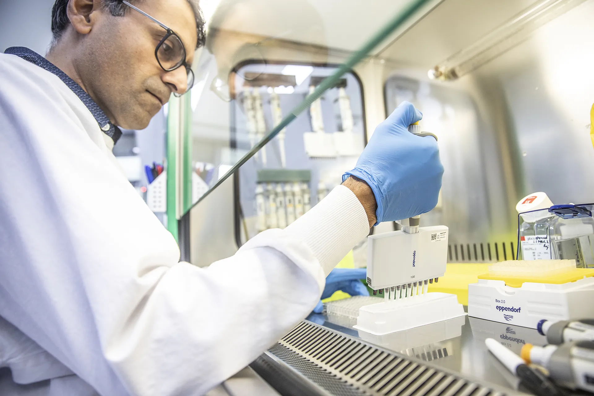 Scientists in biosafety cabinet accurately pipetting samples for an immunogenicity assay