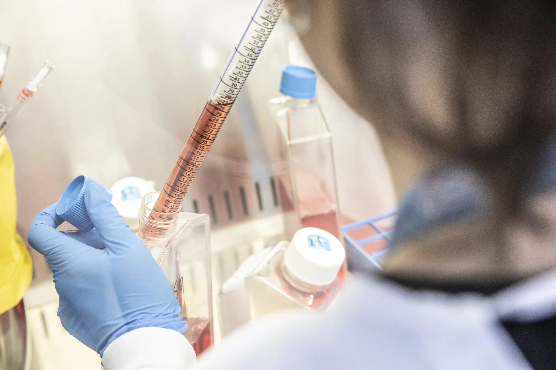 Scientist preparing cell culture for virology assays including microneutralisation, plaque assay, TCID50